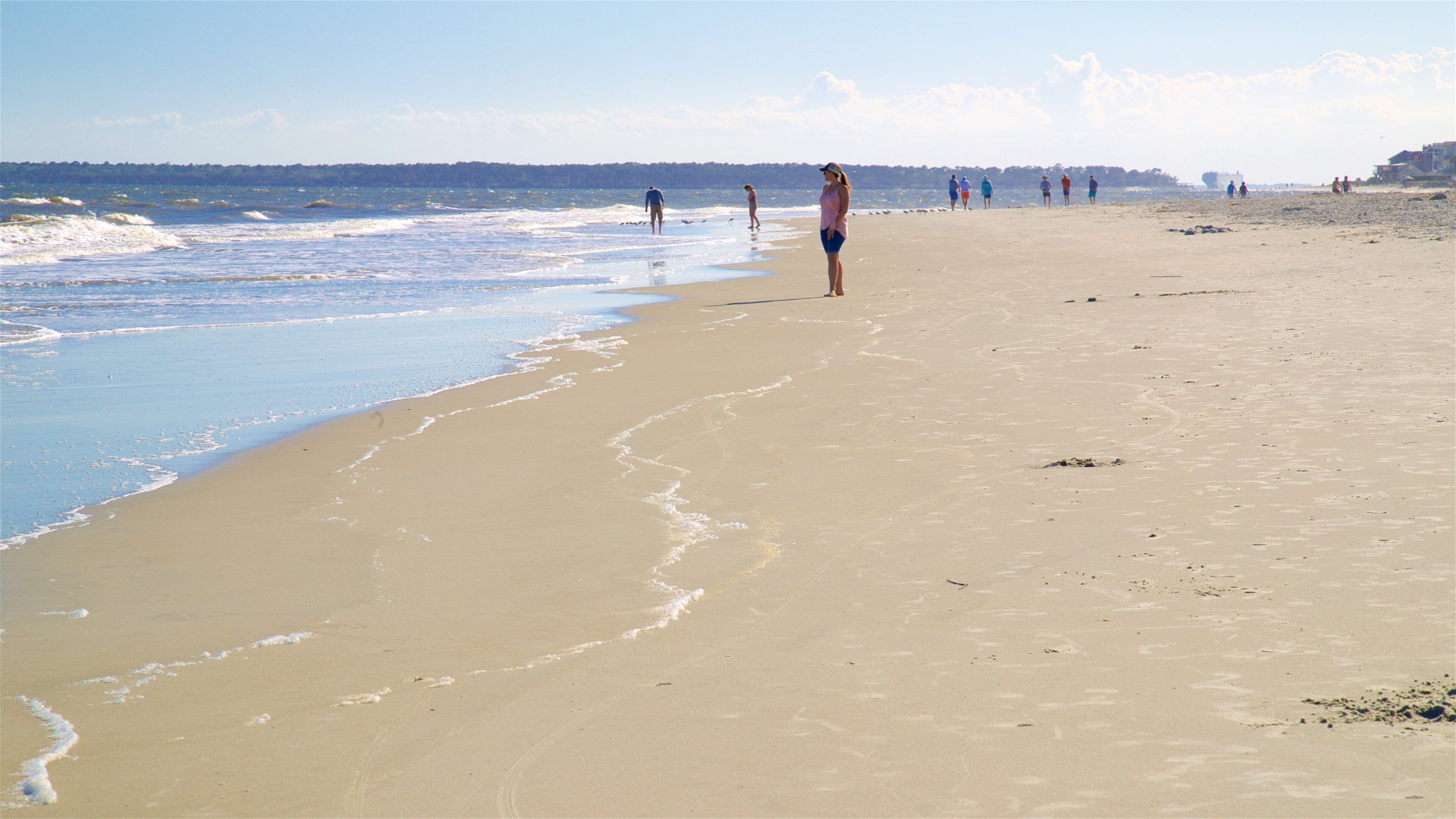 St. Simons Island showing a sandy beach and general coastal views as well as a small group of people
