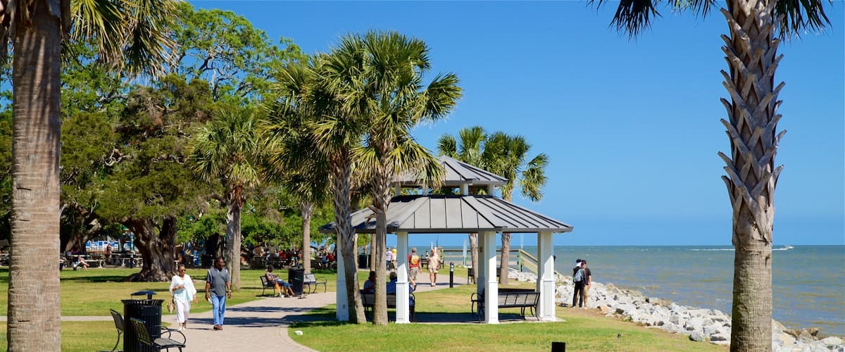 St. Simons Island inclusief een tuin en algemene kustgezichten en ook een stel