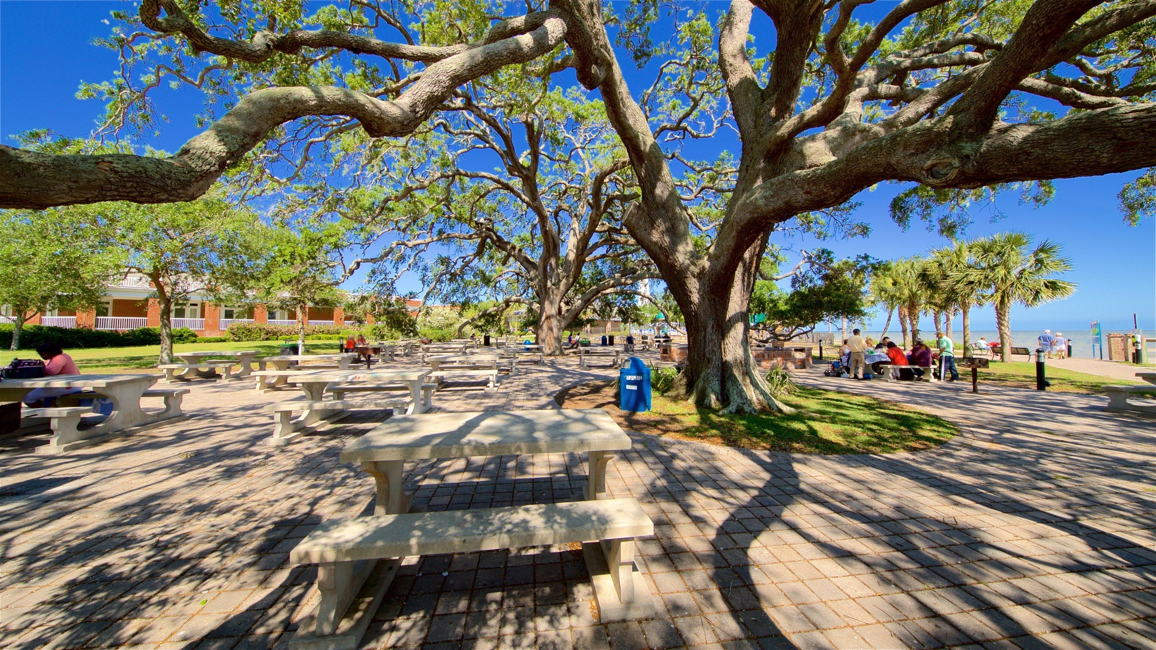 St. Simons Island which includes a park