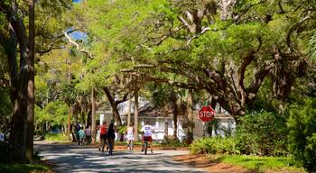 St. Simons Island which includes a garden and cycling as well as a small group of people