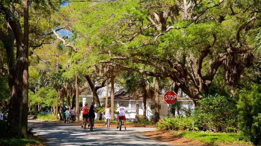 St. Simons Island which includes cycling and a park as well as a small group of people