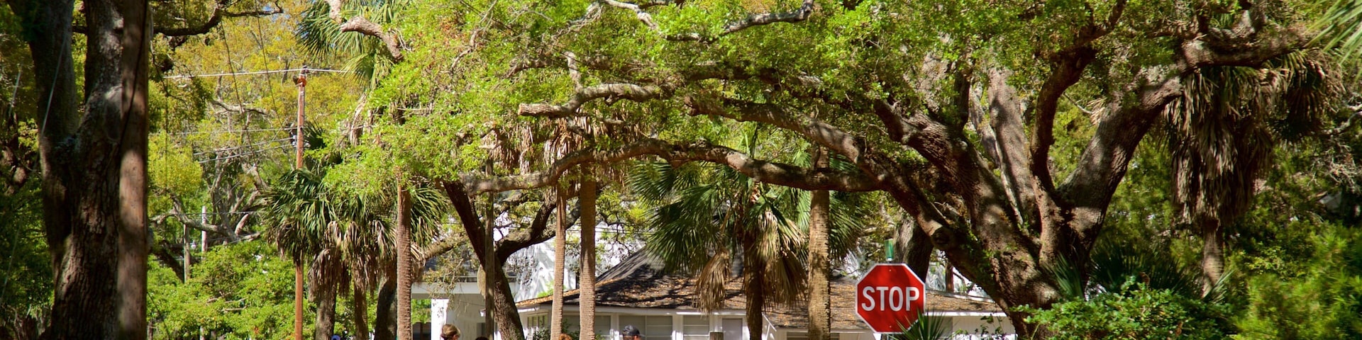 St. Simons Island featuring cycling and a park as well as a small group of people