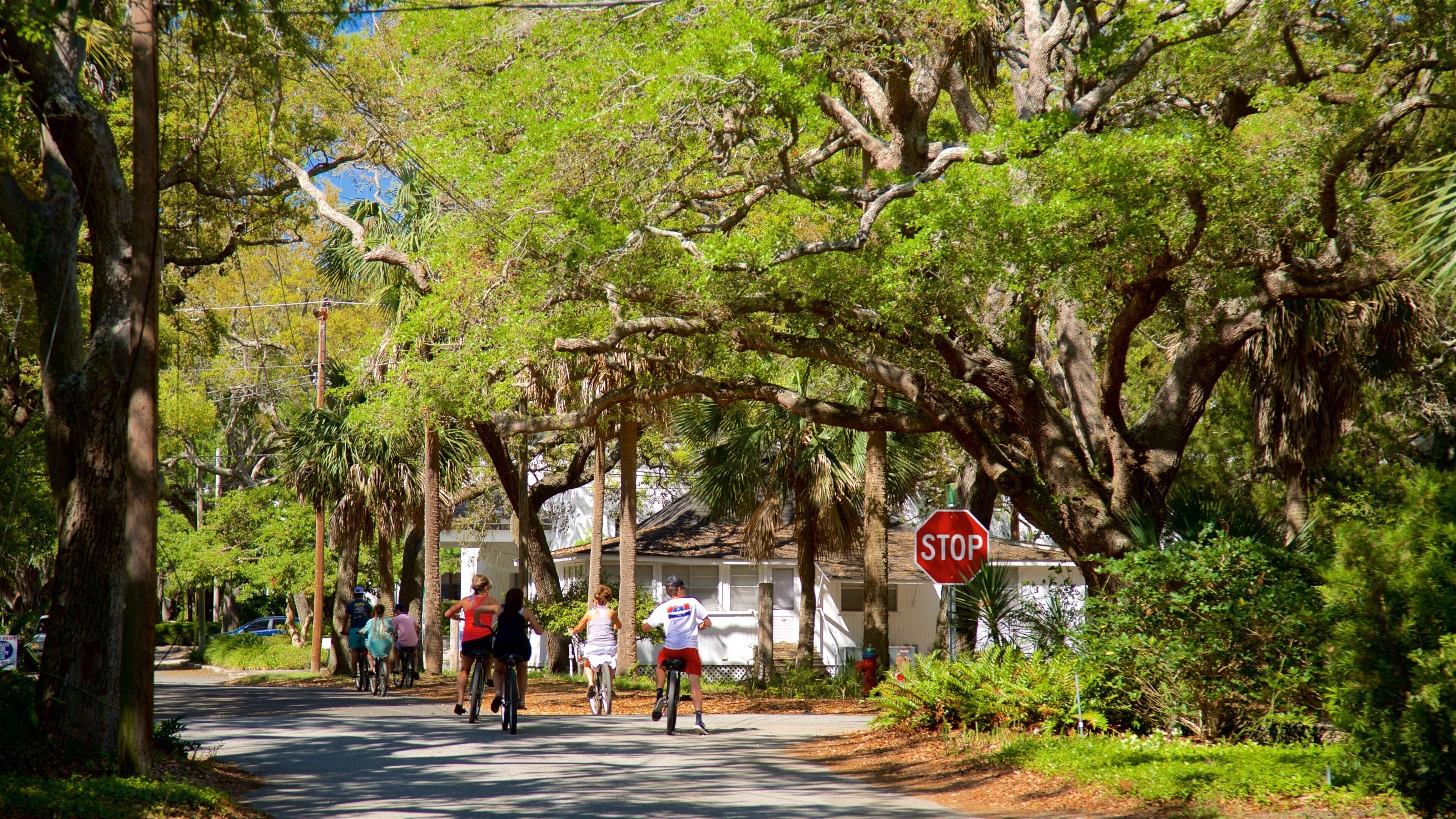 A tree-lined path with cyclists, a stop sign, and a white building in the background.