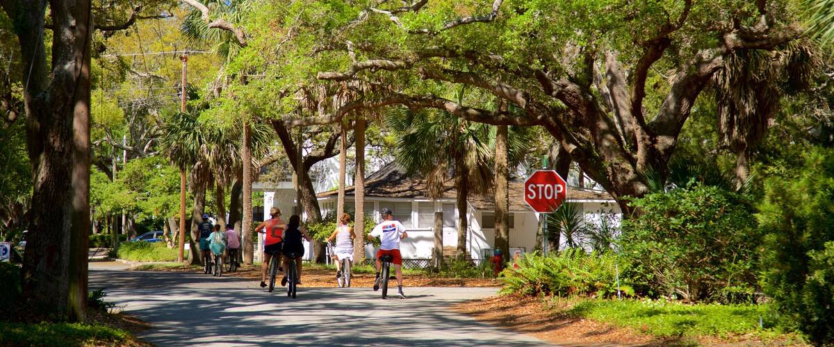 A tree-lined path with cyclists, a stop sign, and a white building in the background.