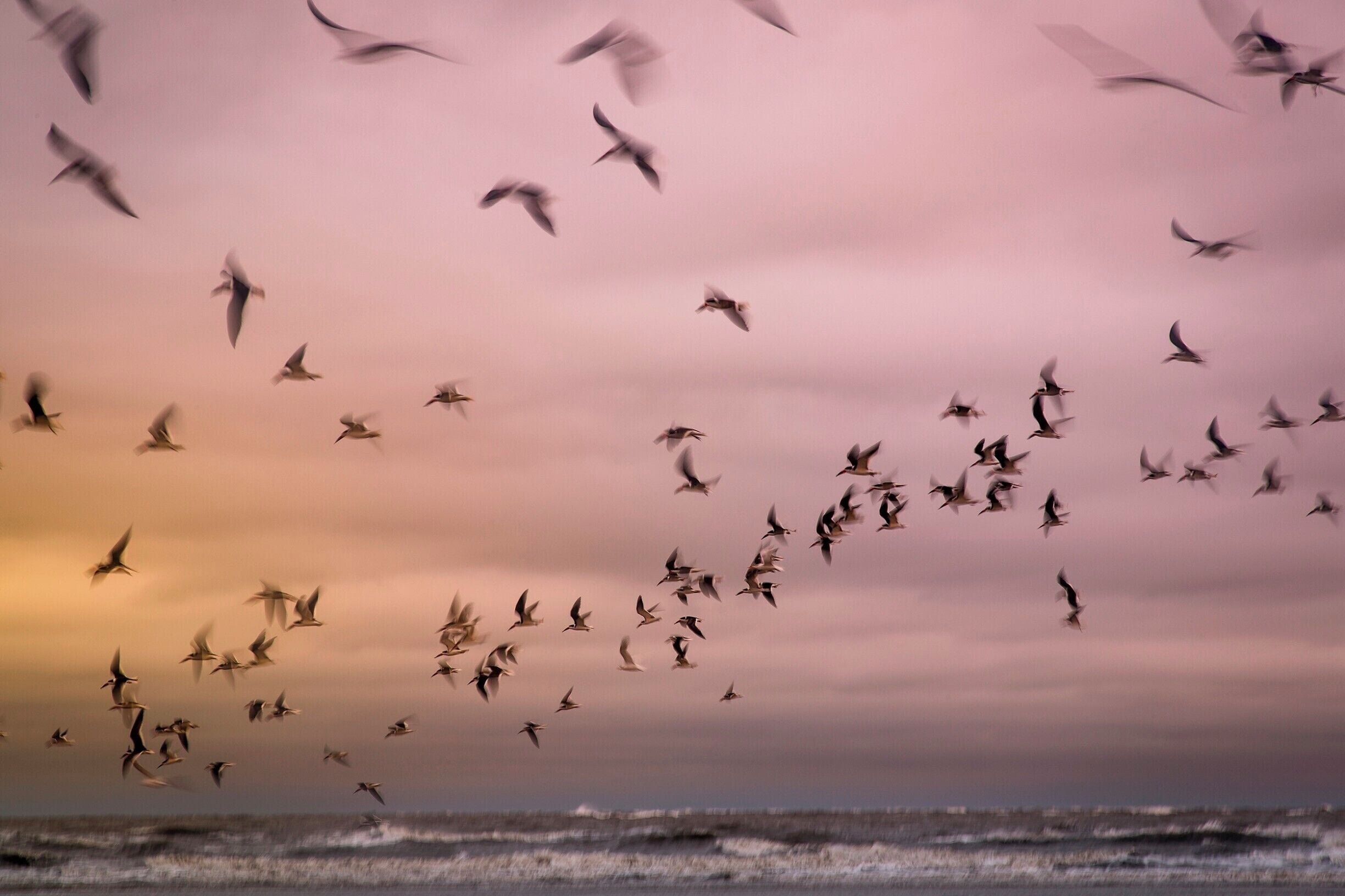 At St Simons Island. Great place to view some birds in the winter and great beaches!