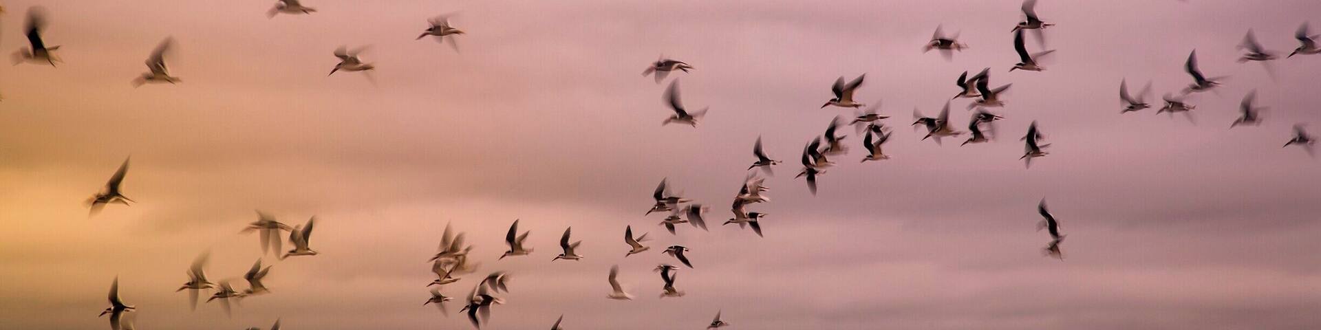 At St Simons Island. Great place to view some birds in the winter and great beaches!