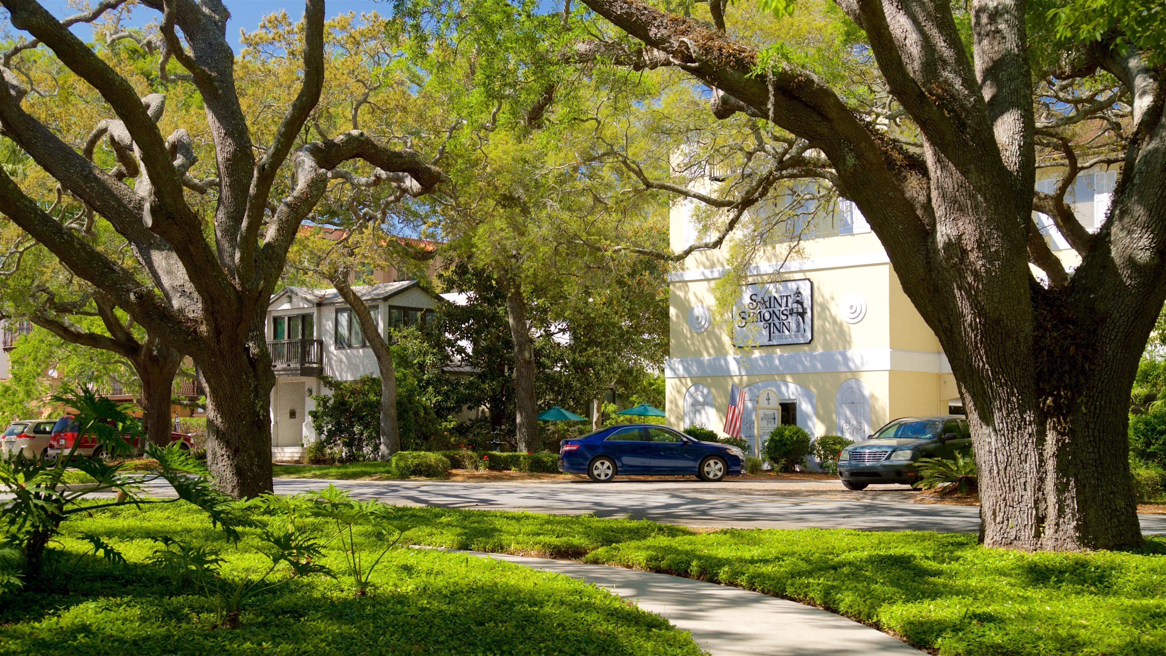 St. Simons Island featuring a park