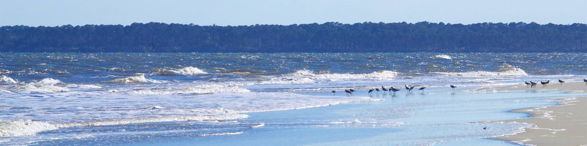 A beach with waves and a line of birds on the shore.