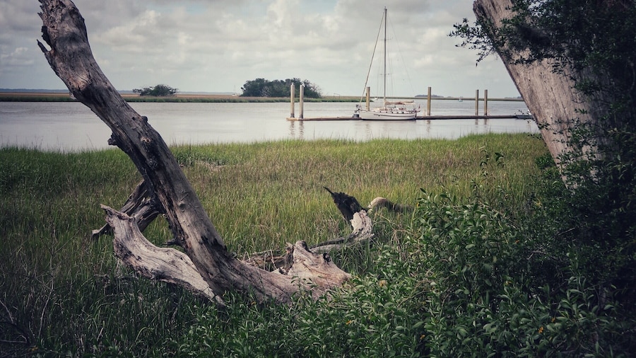 My first time to St. Simons Island and found this great little location with a fishing pier, picnic area, and disc golf.