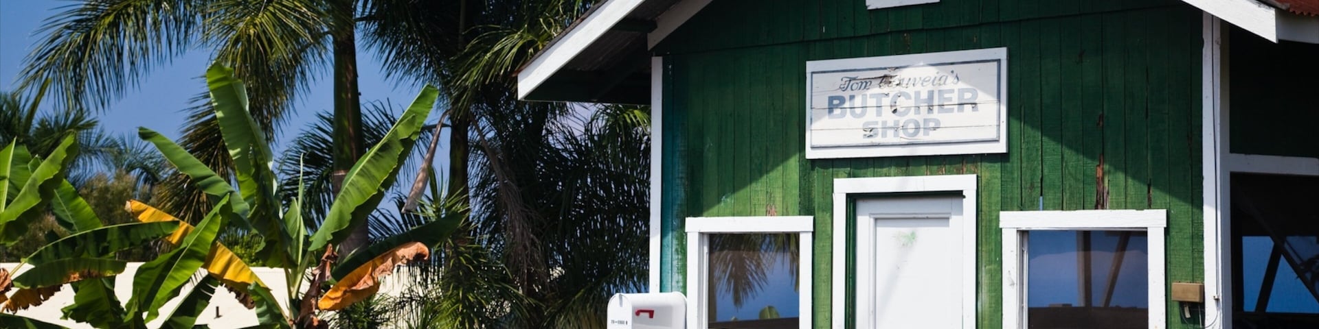 Holualoa featuring tropical scenes