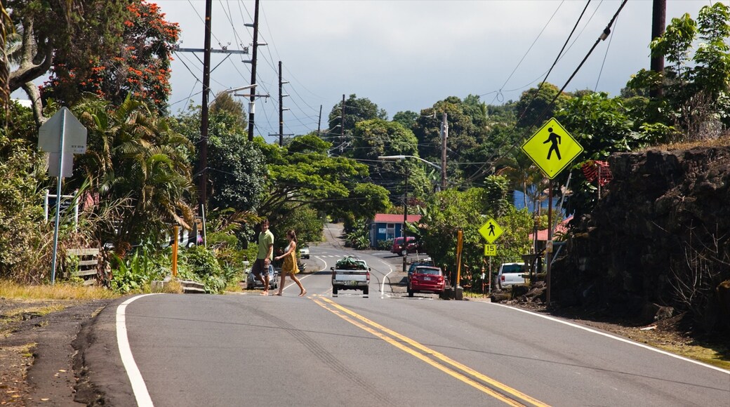 Holualoa showing street scenes