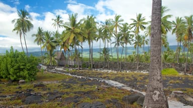 Paisagem tropical com palmeiras, uma cabana de palha e costa rochosa.