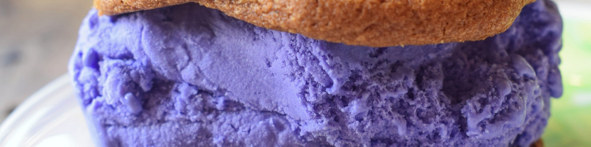 This is an ube ice cream cookie sandwich, and yes, that purple is completely natural in color. Ube originated in the Philippines and is a form of purple sweet potato. Chadlou's uses Dave's Ice Cream (a local company based in Waimanalo with several locations over the island of O'ahu). You can select whichever type of cookie you'd like from what they have available (we chose chocolate chip) and they make your very own custom ice cream cookie sandwich. Brilliant!
For more of my foodie recommendations on the island of O'ahu where I live, you can subscribe to or stay tuned to my blog www.culturalfoodies.com to be updated when I post a new article. This photo is also featured along with all of my favorite eats all over the island of Oahu on my ULTIMATE FOODIE GUIDE TO OAHU blog post, which can be found here: https://culturalfoodies.com/2018/07/15/the-ultimate-oahu-foodie-guide/
#hawaii
#icecream
#ube
#lifeatexpedia
#purple
#foodculture
#foodie
#localeats
#likealocal
#sweet
#sweettreat
#goodeats