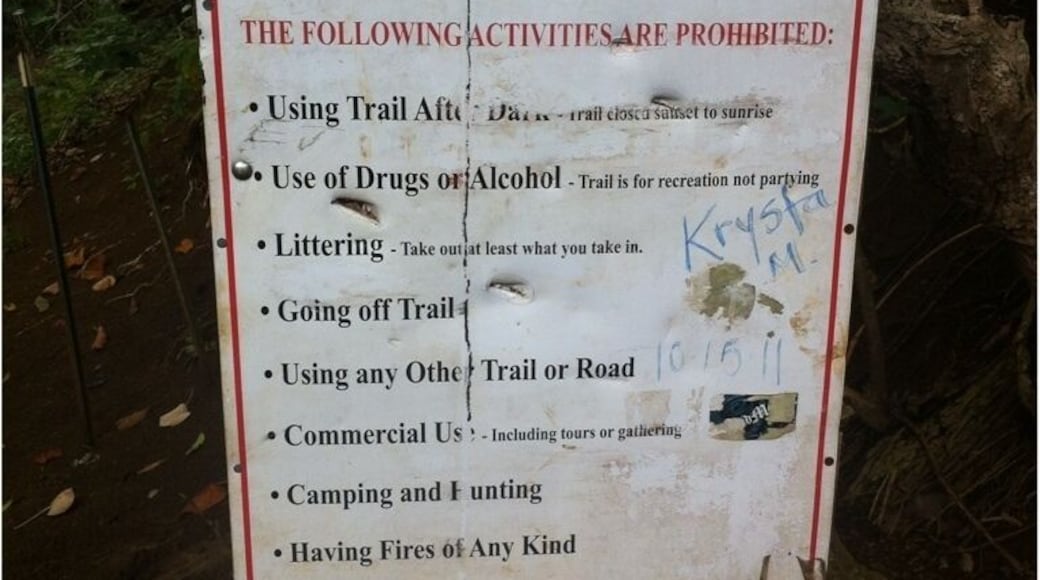 The beginning of the trail