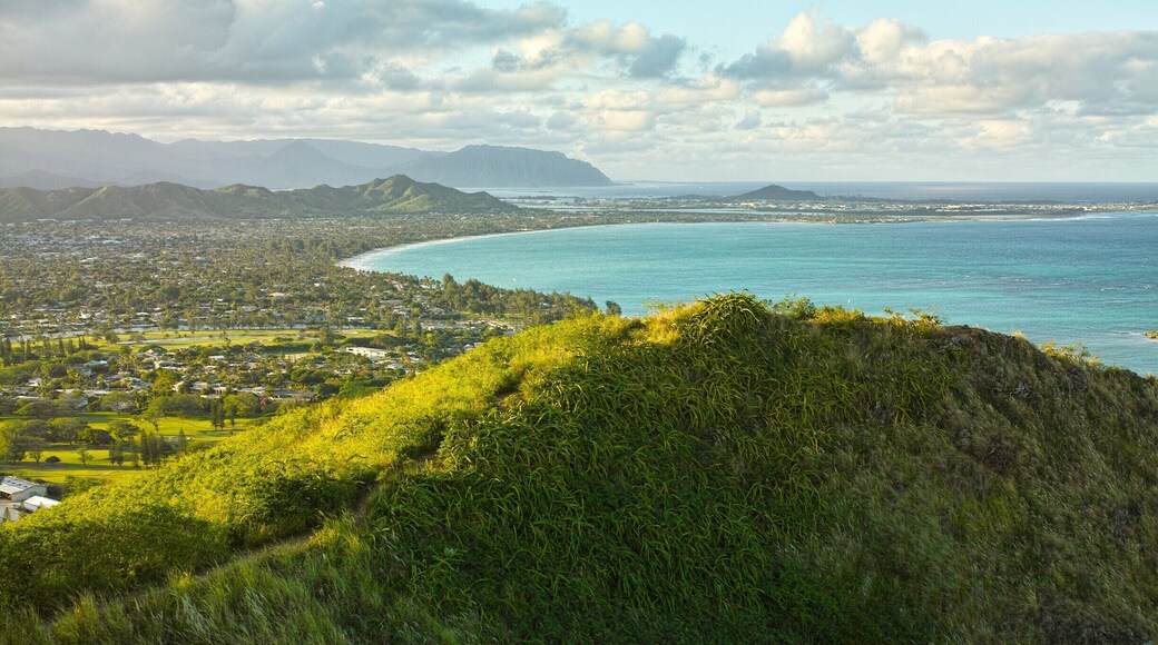 The Lanikai Pillbox Hike (Kaiwa Ridge Trail) #lifeatexpedia