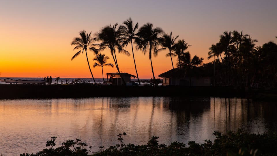 A sunset over a calm body of water with palm trees silhouetted against the sky.
