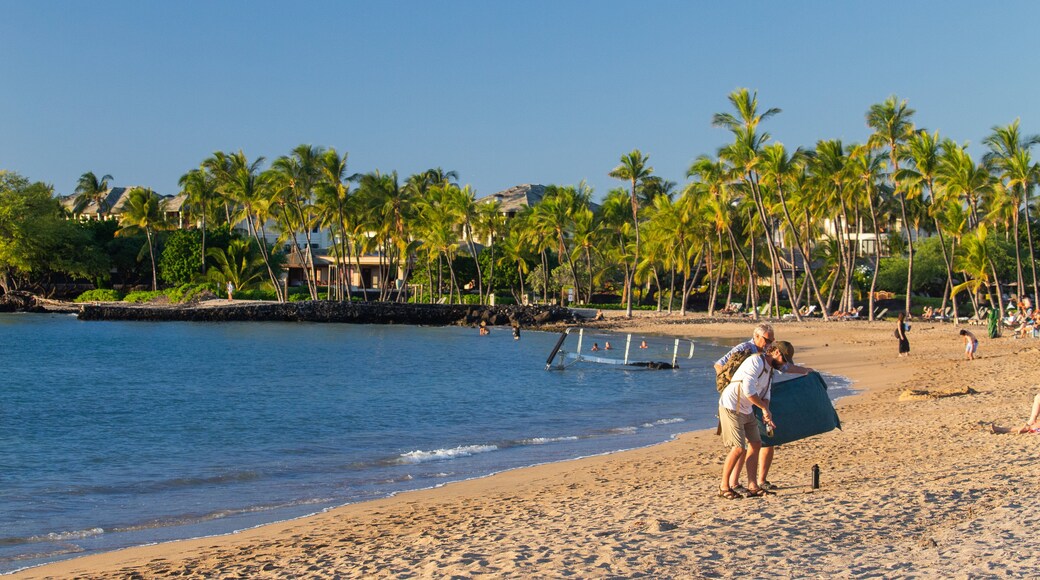 Waikoloa which includes general coastal views, a beach and tropical scenes