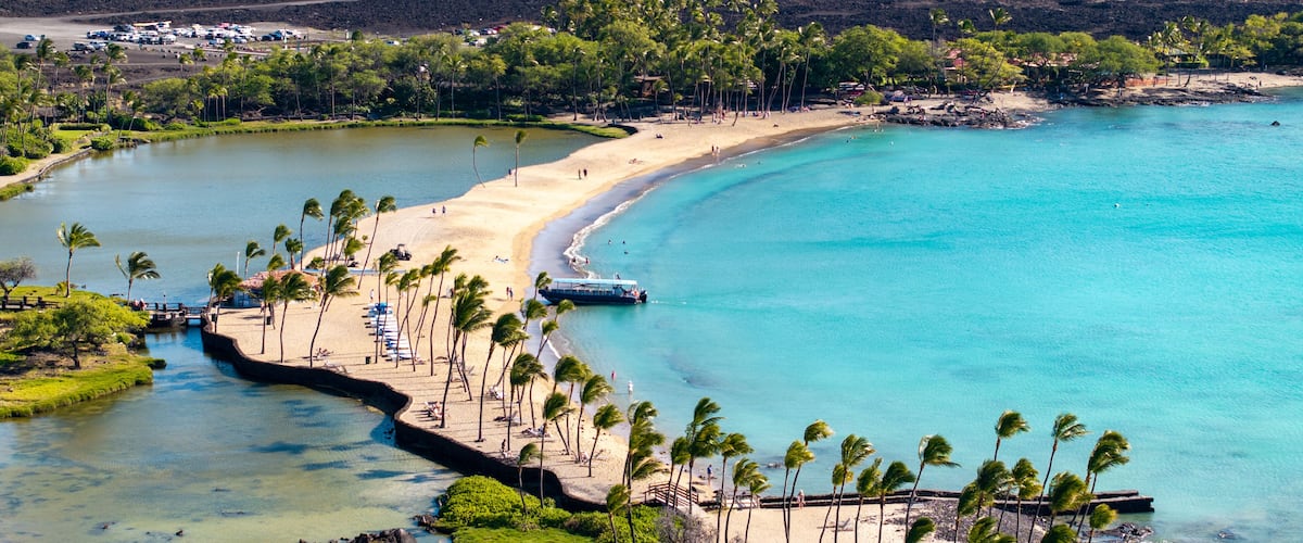 Un paysage côtier avec une plage de sable, une eau turquoise et limpide, et une rangée de palmiers.