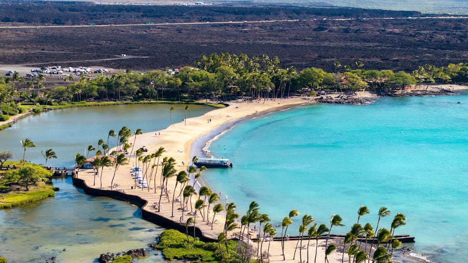 A coastal landscape with a sandy beach, clear turquoise waters, and a row of palm trees.