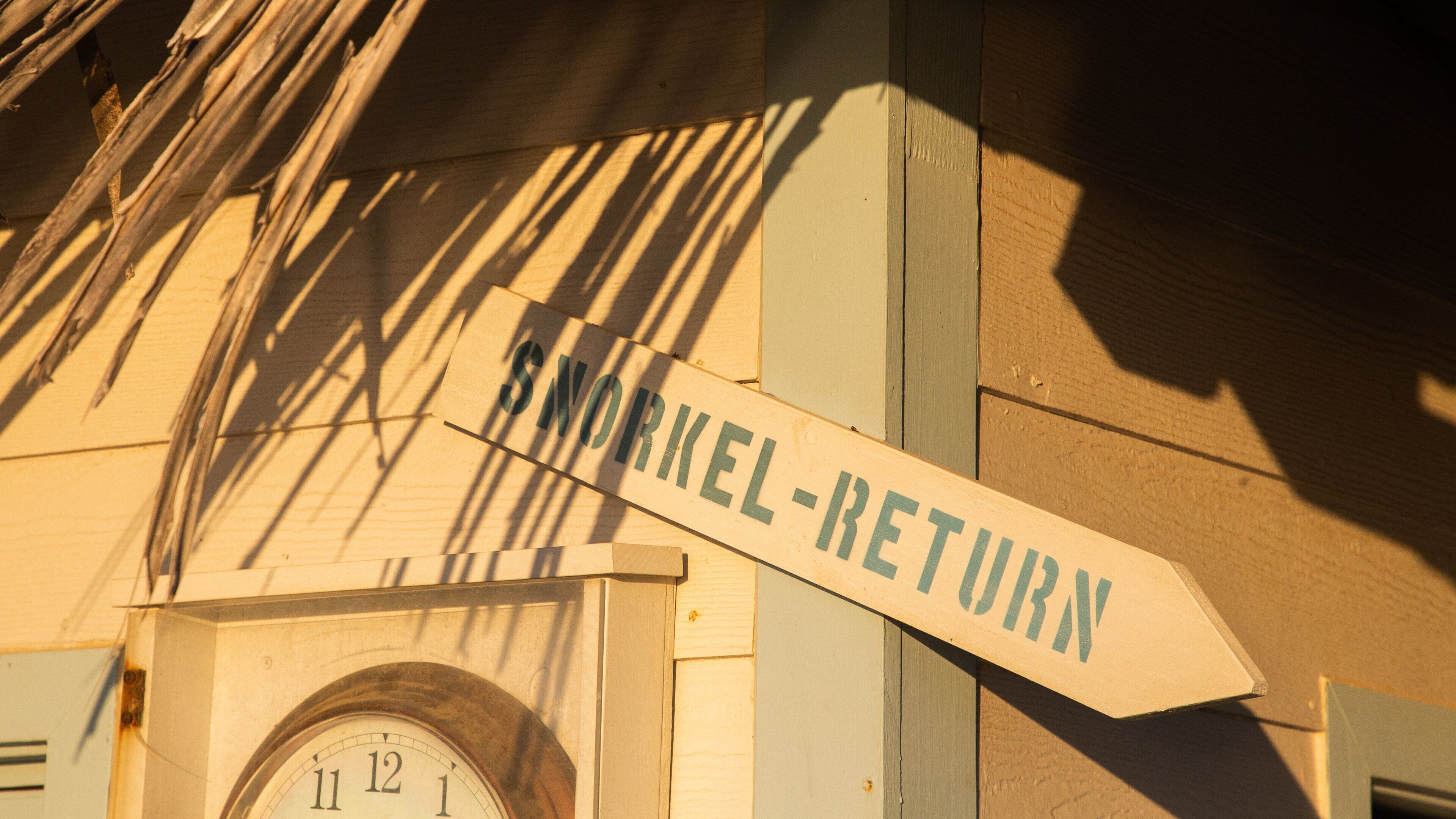 <h2>Top places to stay near the beach</h2>