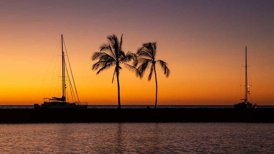 A sunset over a calm sea with two sailboats and palm trees silhouetted against the sky.
