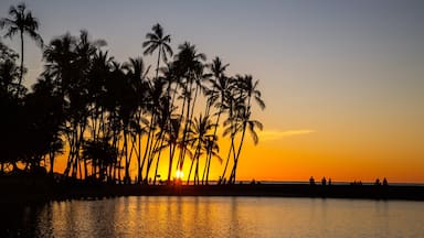 Waikoloa featuring tropical scenes, a sunset and general coastal views