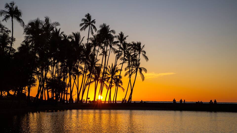 A sunset over a beach with palm trees silhouetted against the sky.