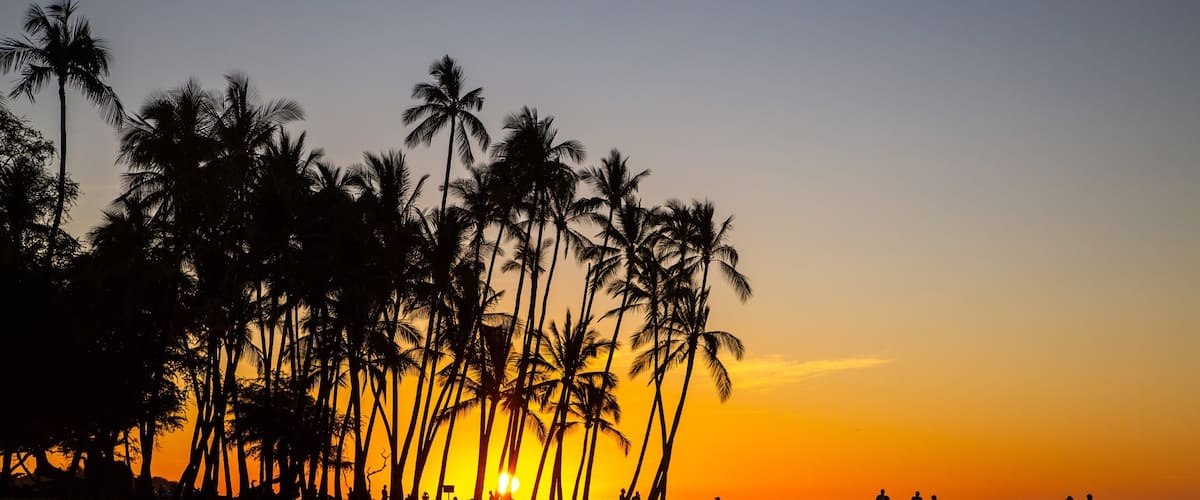A sunset over a beach with palm trees silhouetted against the sky.