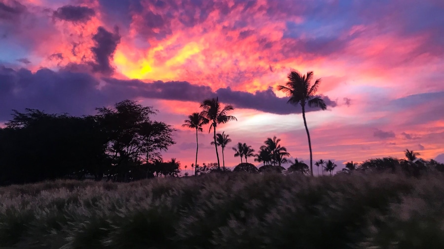 Voggy sunsets on Big Island. #hawaii #lifeatexpedia #beaches #hawaiiisland