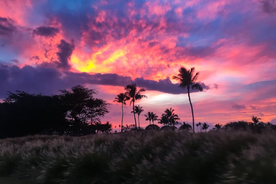 Un atardecer con cielo colorido, palmeras y hierba.