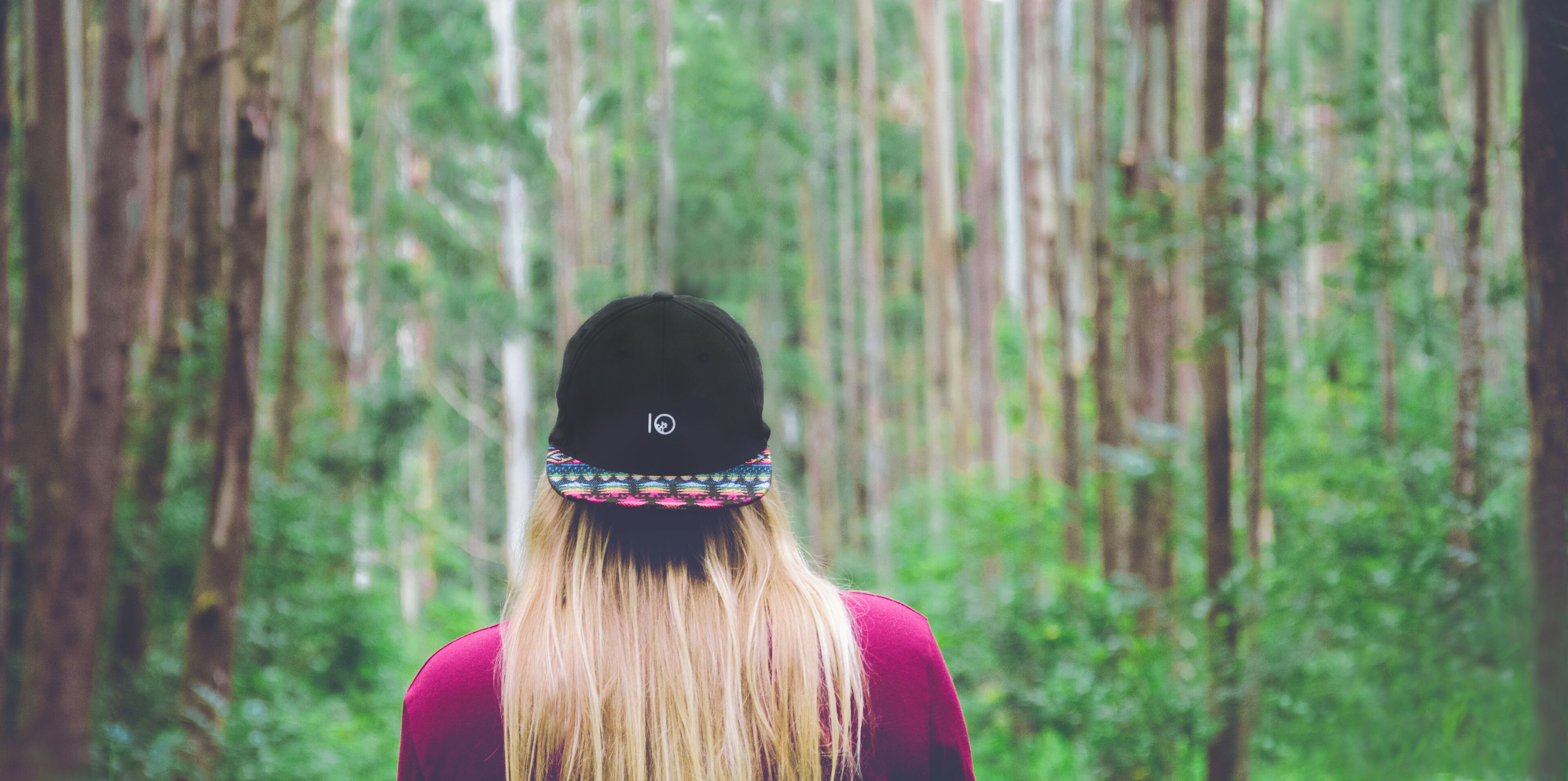 My favorite hiking trail on the Big Island of Hawaii. #adventure #tentree #kendrapowersphotography