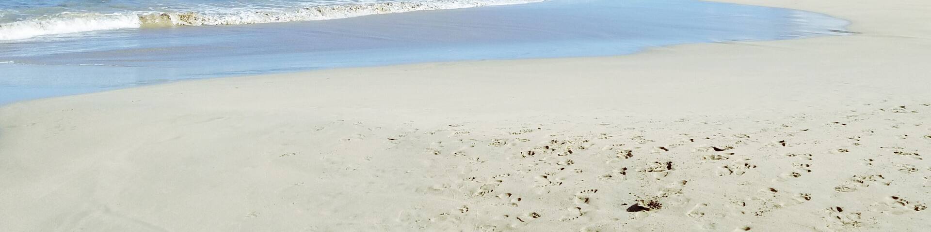 A beach with clear blue water, sandy shore, and a small hill with trees.