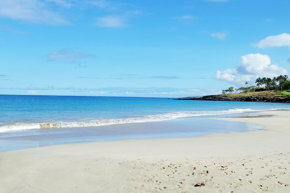 Une plage avec une eau d’un bleu limpide, un rivage sablonneux et une petite colline parsemée d’arbres.