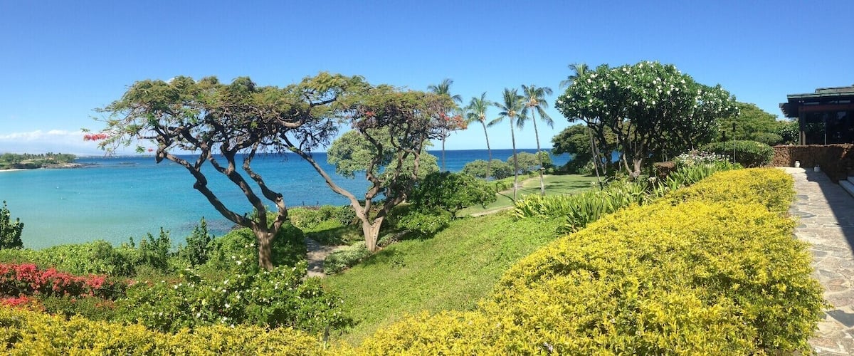 Just the sunniest beach, I guess