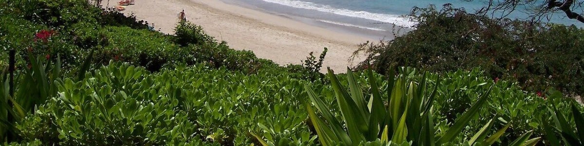 Ein Strand mit klarem türkisblauem Wasser, sandigem Ufer und üppiger Vegetation.