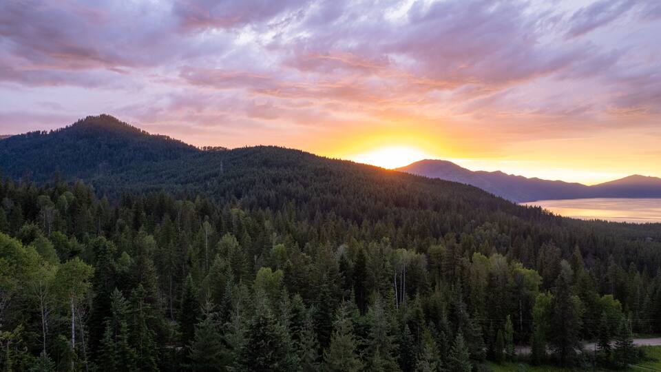 A forested mountain range with a sunset over a body of water.