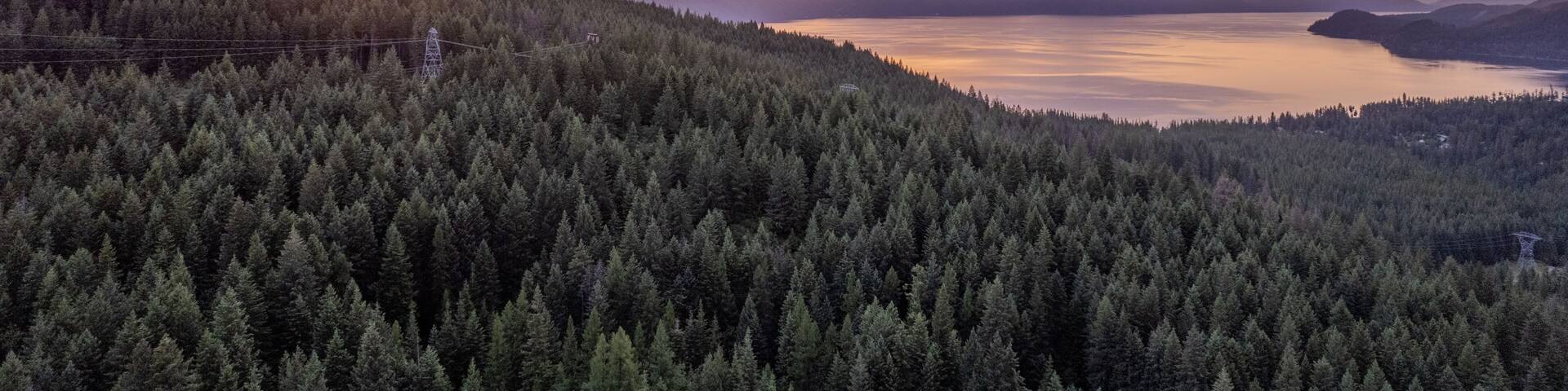 A dense forested mountain range, a calm lake, and distant mountains under a sunset sky.