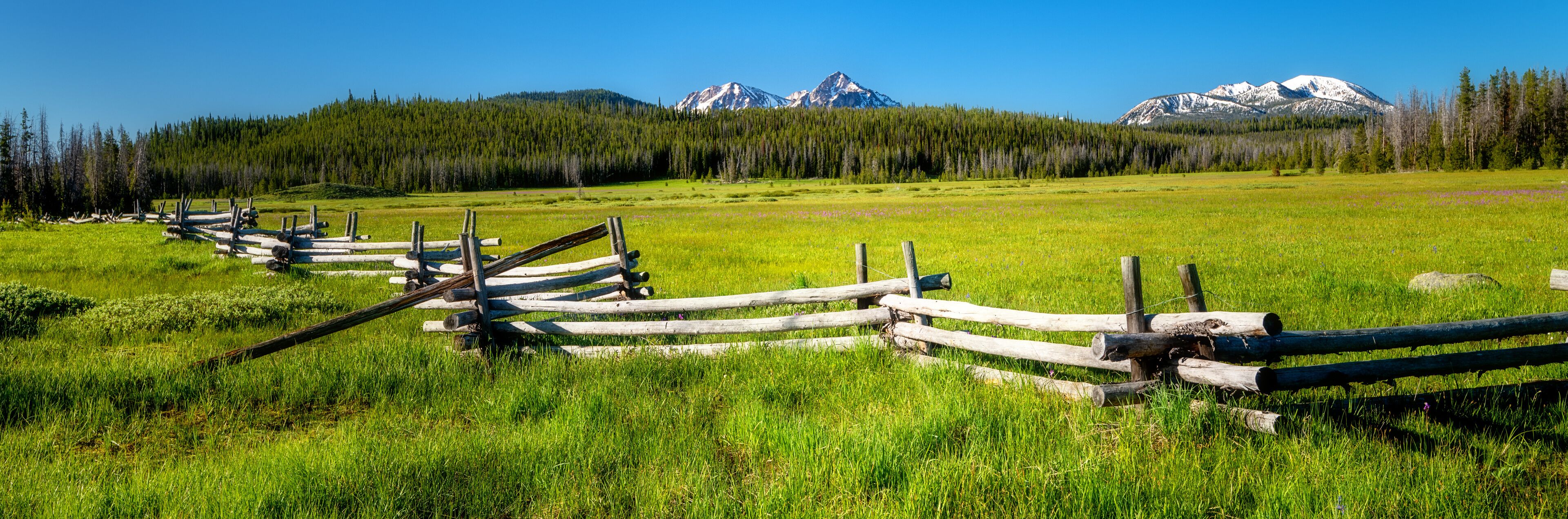 Famous Stanley and Sawtooth log fence in a meadow with mountain range
