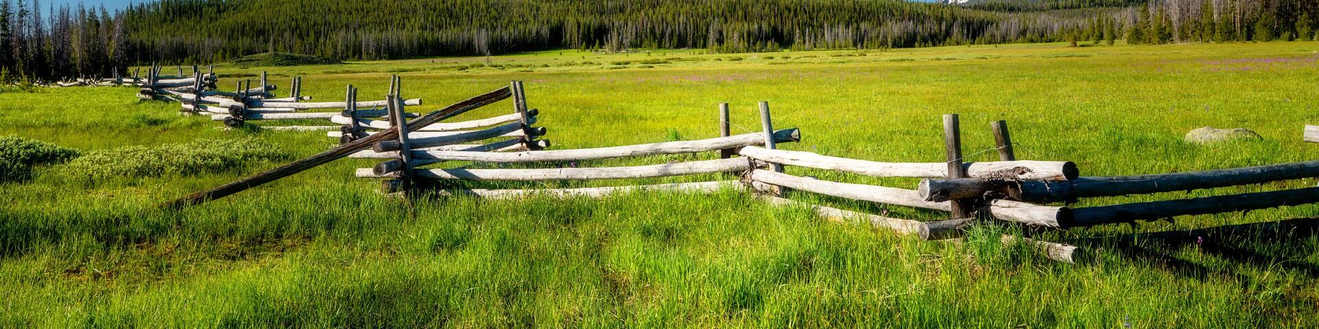 Famous Stanley and Sawtooth log fence in a meadow with mountain range