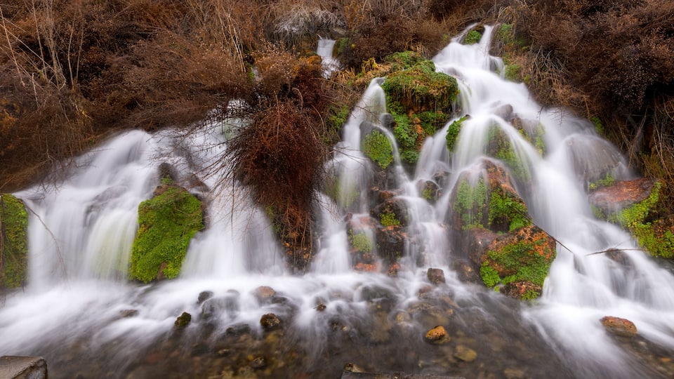 A waterfall cascading over moss-covered rocks in a forested area.