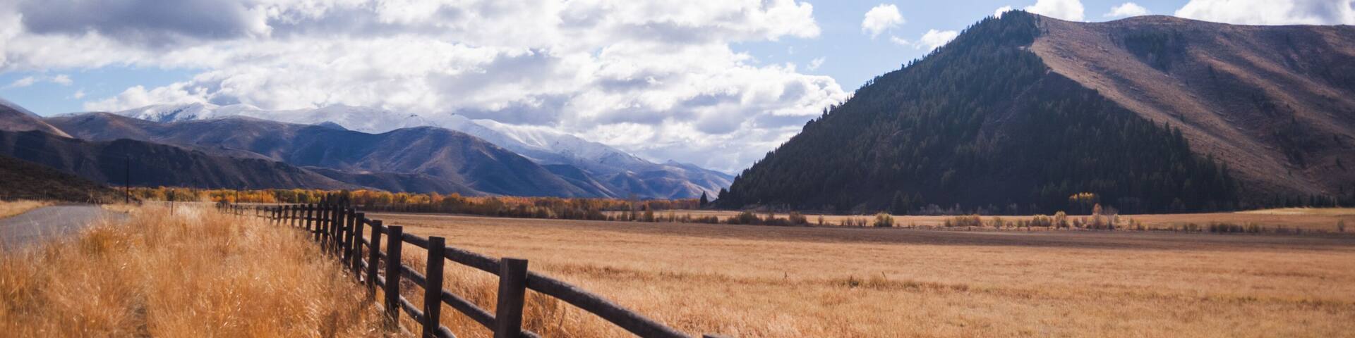 Fence Line in Rural Countryside