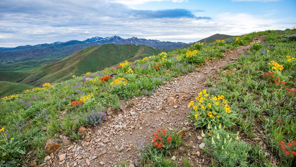 USA, Idaho, Hailey, Hiking trail on Carbonate Mountain
