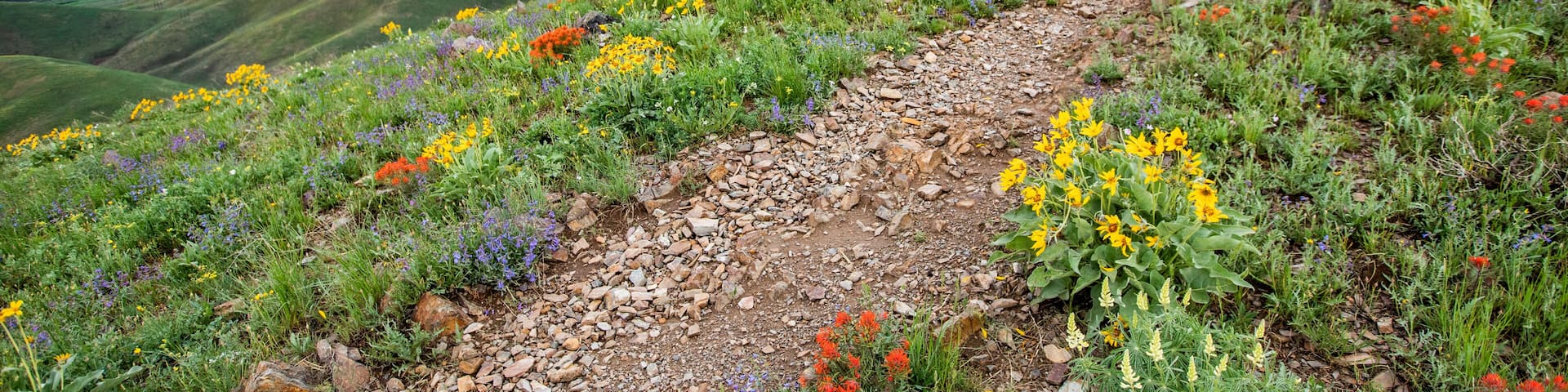 USA, Idaho, Hailey, Hiking trail on Carbonate Mountain