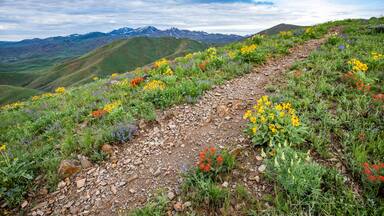 USA, Idaho, Hailey, Hiking trail on Carbonate Mountain