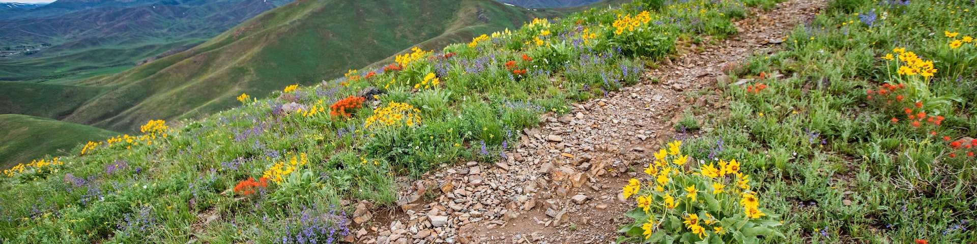 USA, Idaho, Hailey, Hiking trail on Carbonate Mountain