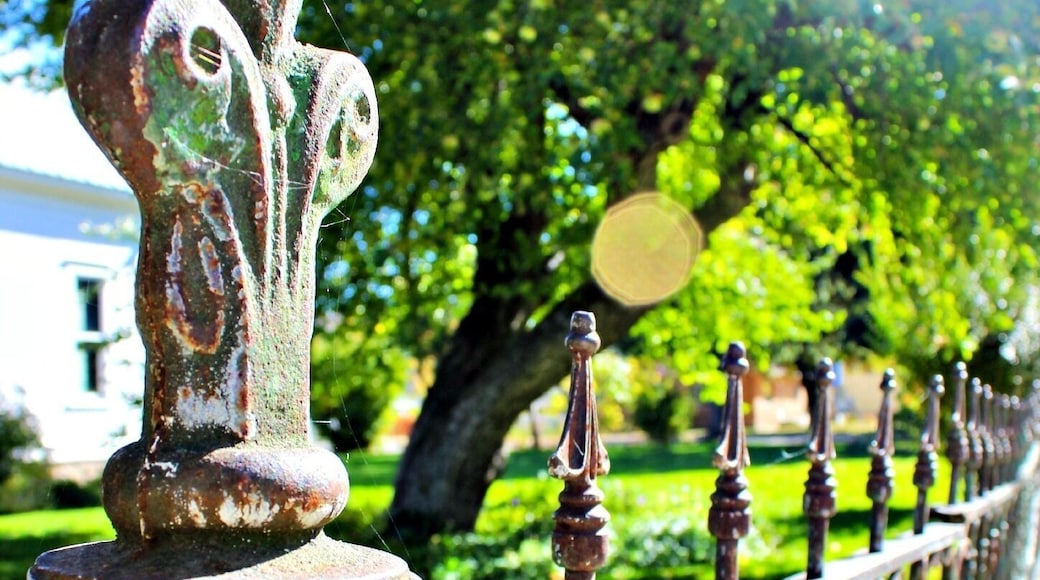 Home/Birthplace of Ezra Pound, The Poet
314 2nd Ave South, Hailey