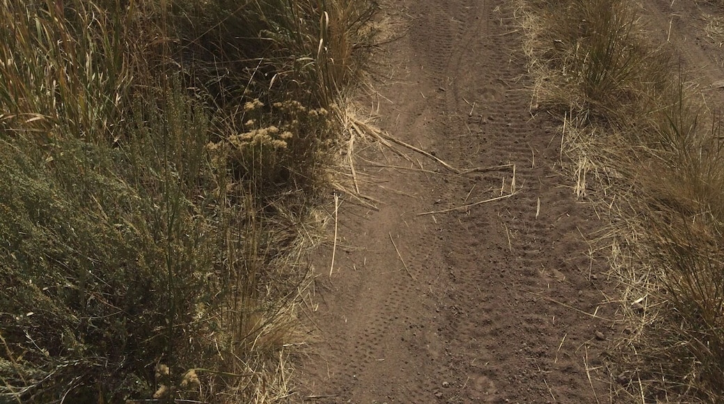 Mountain biking opportunities in Idaho are seemingly endless.