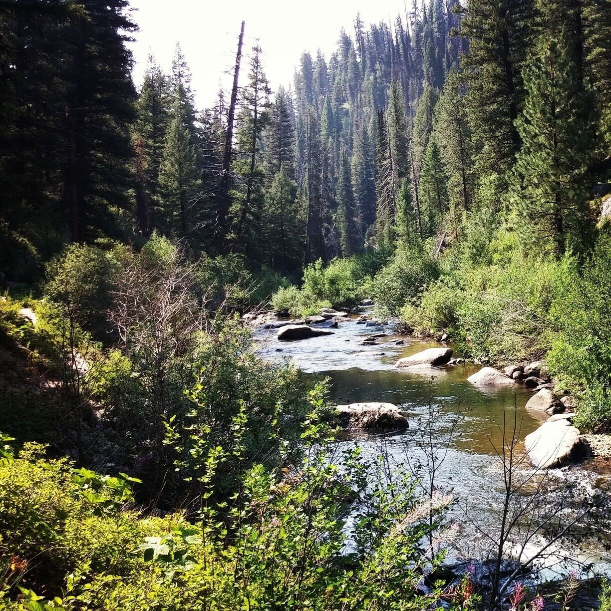 There are tons of gorgeous day hikes and backpacking trails around Idaho City.