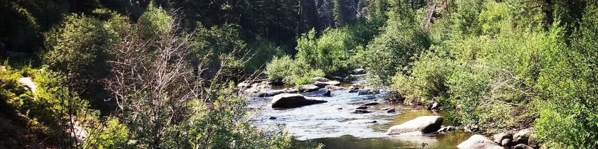 There are tons of gorgeous day hikes and backpacking trails around Idaho City.