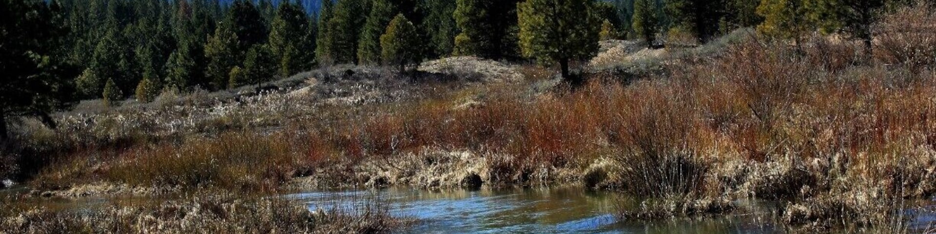 outside of city limits, located at the end of the road heading towards Placerville